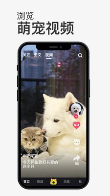 小寵書截圖