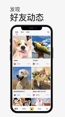 小寵書截圖