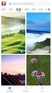 小鳥(niǎo)壁紙截圖
