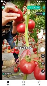 彼方短視頻截圖