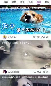 趣逗視頻