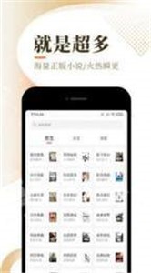 夢灣小說截圖