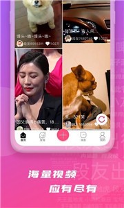 段友影視截圖