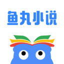 魚丸小說