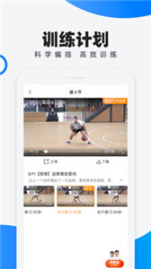 犀鳥學(xué)球
