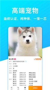 寵物市場截圖