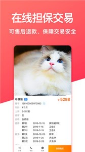 寵物市場截圖