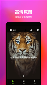 Live動(dòng)態(tài)壁紙截圖