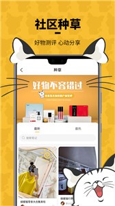 蝴蝶貓截圖