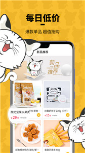 蝴蝶貓