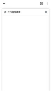 谷歌浏览器截图