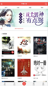 半卷小說