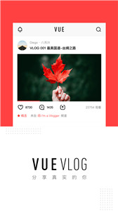 VUE