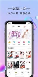 搜書大師老版本截圖