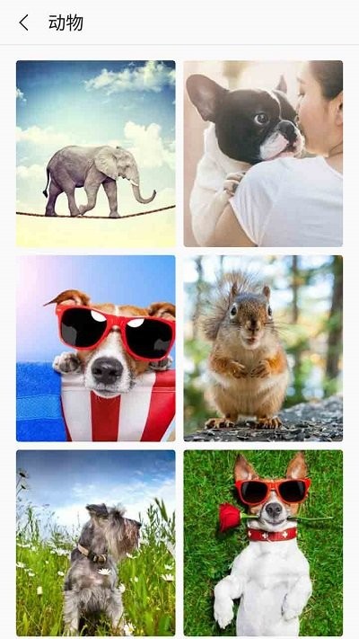芒果壁紙截圖