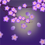 梅花直播app