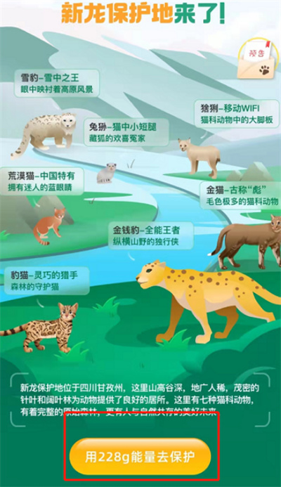 支付寶云守喵活動在哪進(jìn)入