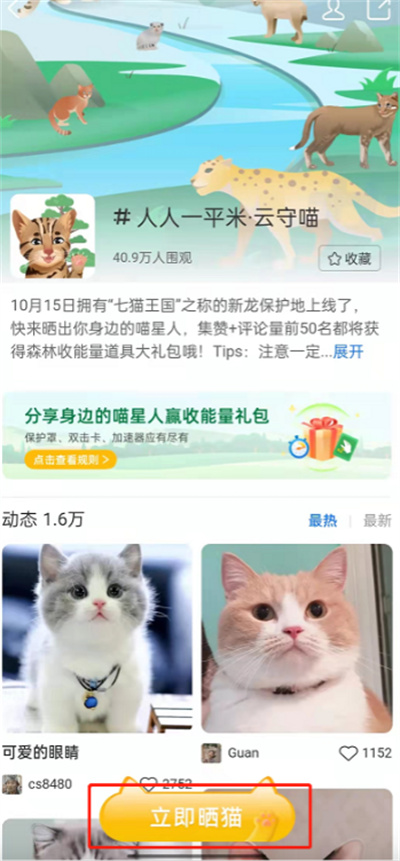 支付寶云守喵活動在哪進(jìn)入