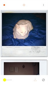 PLOT截圖