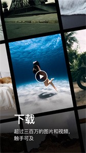 Pexels截圖