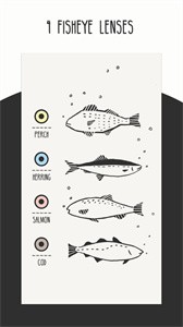 FISHI截圖