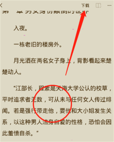 番茄小說怎么下載小說