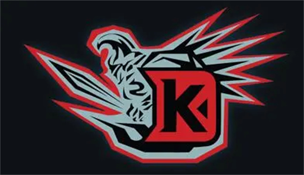 DK戰(zhàn)隊成員信息介紹