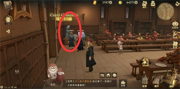 哈利波特魔法覺醒怪誕之夜第四天任務(wù)攻略