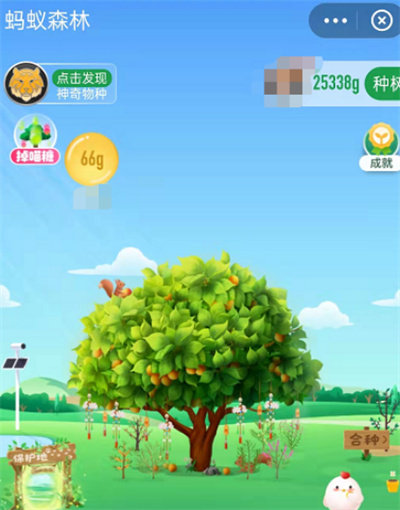 螞蟻森林長(zhǎng)期沒(méi)有領(lǐng)取能量會(huì)怎樣