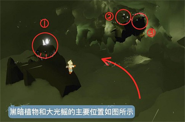 光遇風(fēng)行季第五個(gè)季節(jié)任務(wù)完成攻略