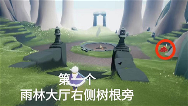 光遇11月5日雨林大蠟燭位置一覽