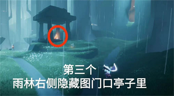 光遇11月5日雨林大蠟燭位置一覽