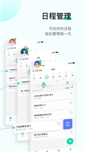 飛項截圖