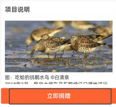 支付寶怎么使用積分捐愛心