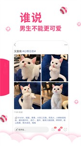 第四愛截圖