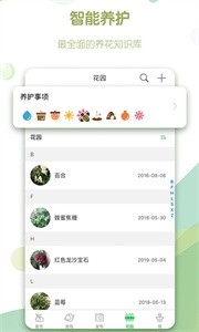 綠手指截圖