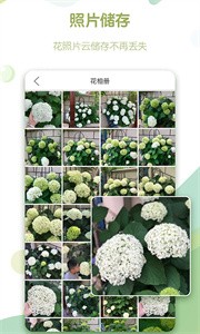 綠手指截圖