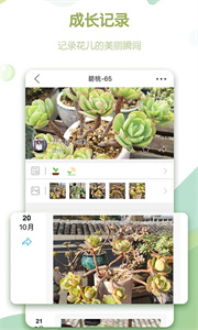 綠手指