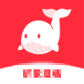 快音悦