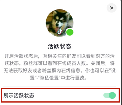 抖音怎么設(shè)置隱身狀態(tài)