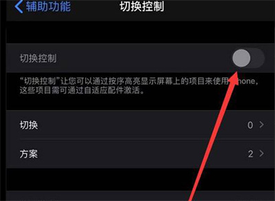 iPhone怎么開啟切換控制