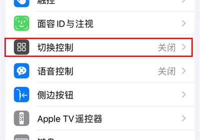 iPhone怎么開啟切換控制