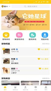 它她星球截圖