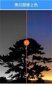 clearai截圖