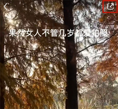 小紅書怎么去除照片水印