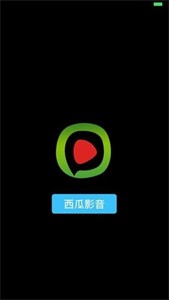 西瓜播放器截圖