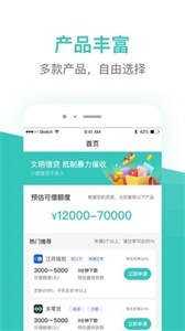 蕓豆借款截圖