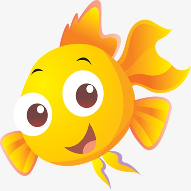 小金魚直播