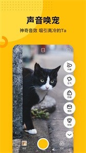 爪嘰相機app截圖
