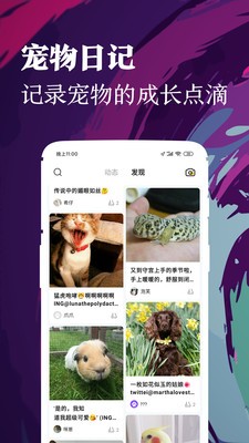 鏟屎官日記截圖